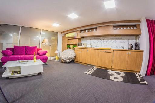 Trzaska Duplex Urban Apartment Ljubljana Kültér fotó